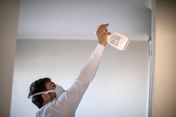 Professional Mold Remediation in Highland Falls, NY