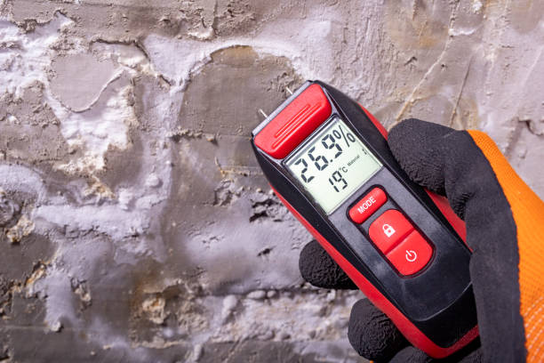 Best Residential Mold Remediation in Highland Falls, NY